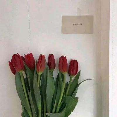 管家婆期期四肖四码中特管家截图